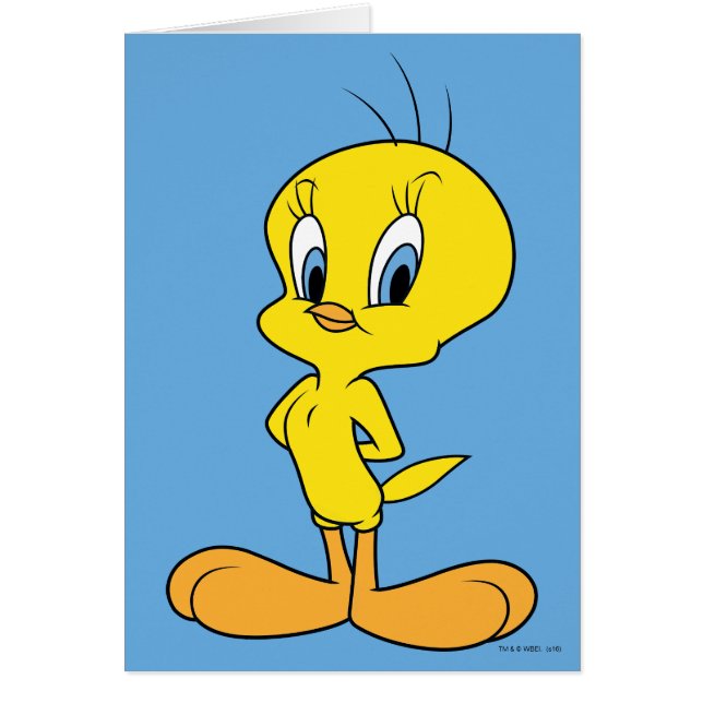 TWEETY™ | Sluwe Vogel (Voorkant)