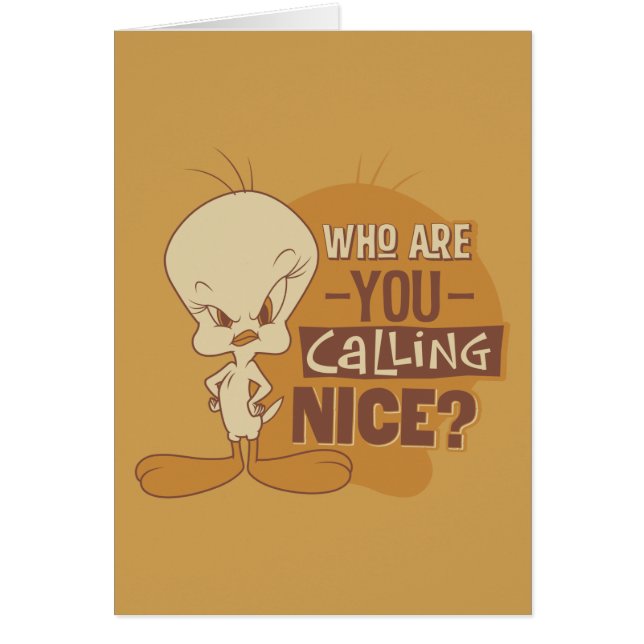TWEETY™- Wie noem jij aardig? (Voorkant)
