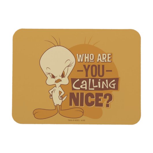 TWEETY™- Wie noem jij aardig? Magneet (Horizontaal)