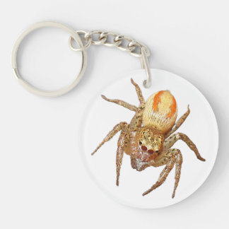 Tweevormige springspin (Maevia inclemens) Sleutelhanger