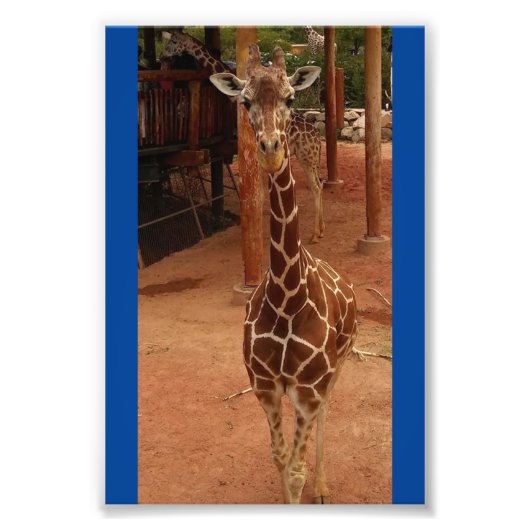 Tweevoudige 4x6 afdrukken #2 foto afdruk (Voorkant)