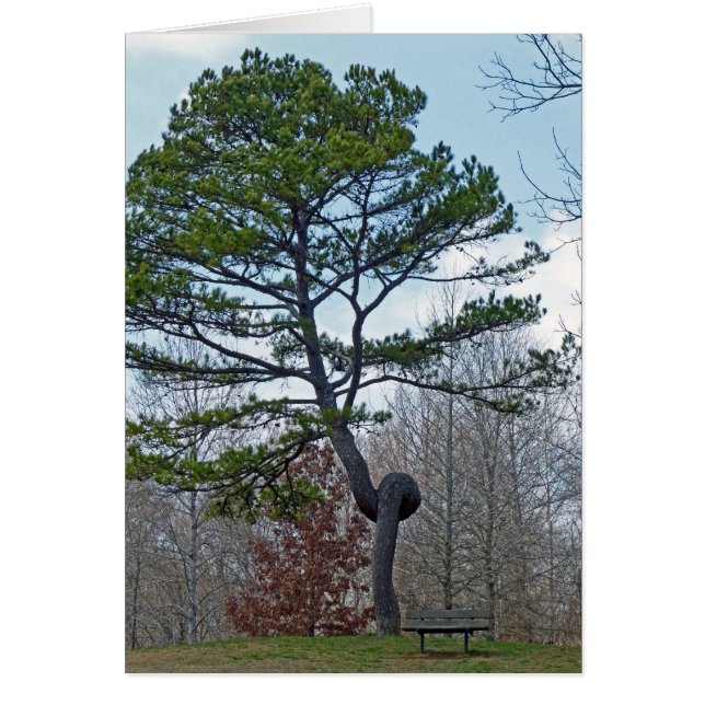 Tweevoudige structuur (Voorkant)