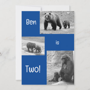 Tweevoudige uitnodiging voor Zoo Birthday Party