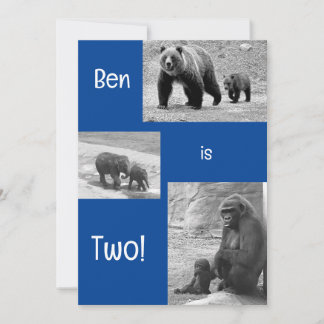 Tweevoudige uitnodiging voor Zoo Birthday Party