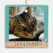 Tweezijdig foto's van Startviskeramisch Ornament (Achterkant)