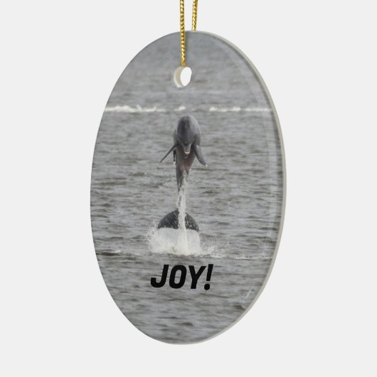 tweezijdig ornament van dolfijnen (Links)