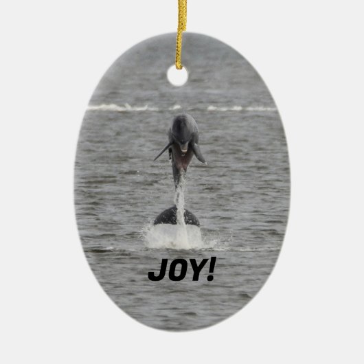 tweezijdig ornament van dolfijnen (Voorkant)