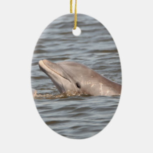 tweezijdig ornament van dolfijnen