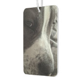  tweezijdige foto luchtverfrisser (Links)