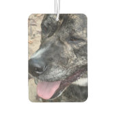  tweezijdige foto luchtverfrisser (Achterkant)