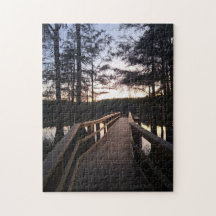 Tweilight Brug in Cypress Bos