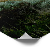 Twelve Apostles Australië Poster (Hoek)