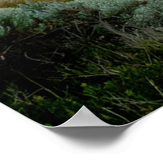 Twelve Apostles Australië Poster (Hoek)