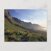 Twelve Apostles, Cape Town, Western Cape Briefkaart (Voorkant)