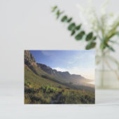 Twelve Apostles, Cape Town, Western Cape Briefkaart (Staand voorkant)