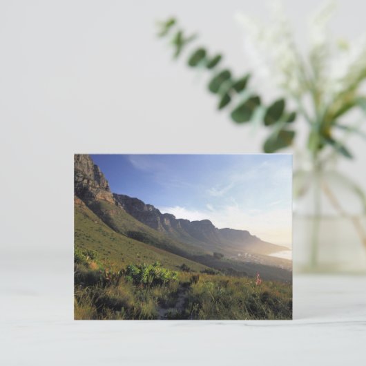 Twelve Apostles, Cape Town, Western Cape Briefkaart (Staand voorkant)