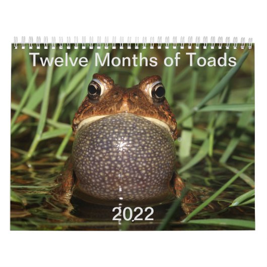 Twelve Months of Toads: 2022 Calendar Kalender (Hoes)