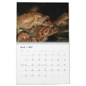 Twelve Months of Toads: 2022 Calendar Kalender (Mar 2027)