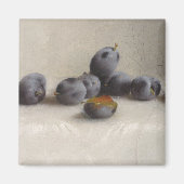 Twelve Plums Magneet (Voorkant)