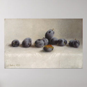 Twelve Plums Poster