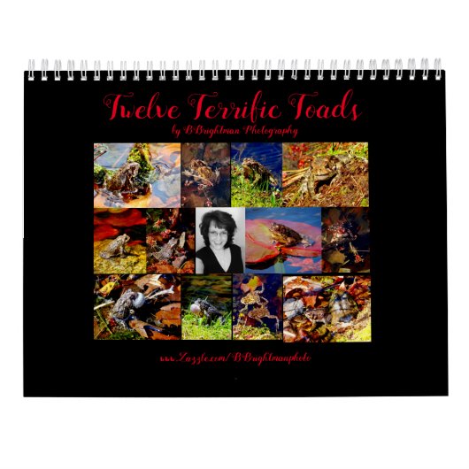 Twelve Terrific Toads Kalender (Achterkant)