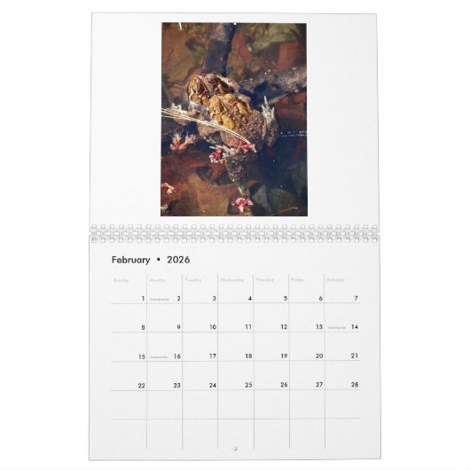 Twelve Terrific Toads Kalender (Feb 2026)