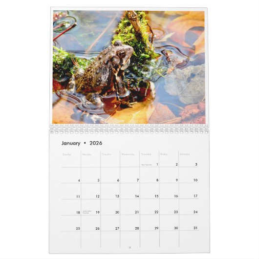 Twelve Terrific Toads Kalender (Jan 2026)
