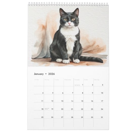 Twelve Watercolor Cats Calendar Kalender (Jan 2026)