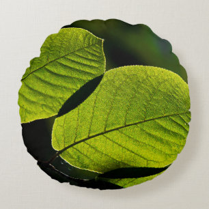 Twig leaf groene looienaderen rond kussen