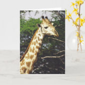 Twiga Masai (Giraffe Masai) Kaart (Gele Bloem)