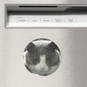 Twiggy Cat Magneet (Insitu (Vaatwasser))