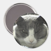 Twiggy Cat Magneet (Voorkant / Achterkant)