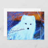 *~* Twigs AP18 Sneeuwfox White Arctic Polar Fox Briefkaart (Voorkant / Achterkant)