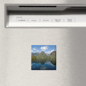 Twijfelachtig geluid magneet (Insitu (Vaatwasser))