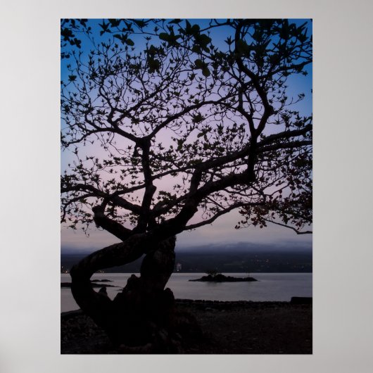 TWILICHT OP HILO BAY HAWAII POSTER (Voorkant)