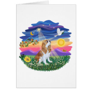 Twilight - Blenheim Cavalier (F)