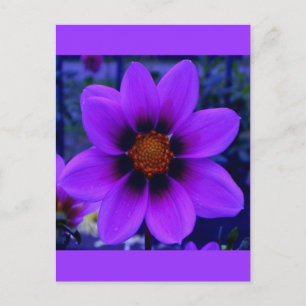 Twilight Bloom Paarse Bloem bij Dusk Briefkaart