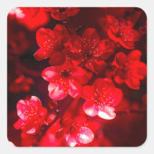 Twilight Cherry Blossom Glow Vierkante Sticker (Voorkant)
