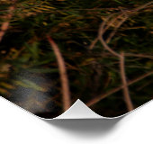 Twilight Egret Poster (Hoek)