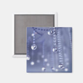 Twilight in Crystal Magnet (Voorkant / Achterkant)