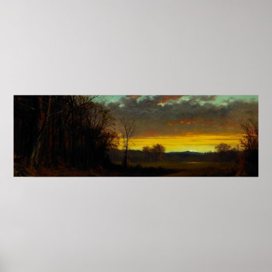 Twilight in het wild poster (Voorkant)