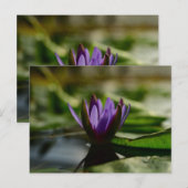 Twilight Lotus Serenity Briefkaart (Voorkant / Achterkant)