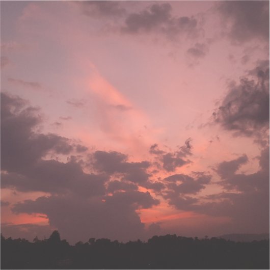 Twilight Roos Skies Sticker (Voorkant)