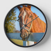 Twilight-Roos | Thoroughbred Race Horse (Voorkant)