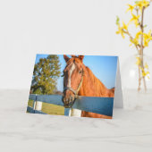 Twilight-Roos | Thoroughbred Race Horse Kaart (Gele Bloem)