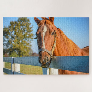 Twilight-Roos   Thoroughbred Race Horse Legpuzzel