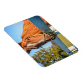 Twilight-Roos | Thoroughbred Race Horse Magneet (Rechterzijde)