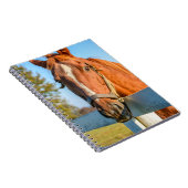 Twilight-Roos | Thoroughbred Race Horse Notitieboek (Rechterzijde)