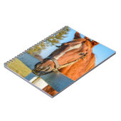 Twilight-Roos | Thoroughbred Race Horse Notitieboek (Linkerzijde)