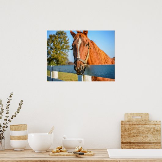 Twilight-Roos | Thoroughbred Race Horse Poster (Keuken)